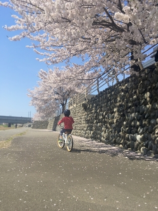 小さくなって乗らなくなった子供の自転車、どうしていますか？