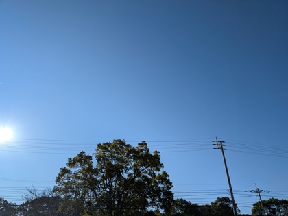 2025年の振り返り