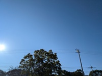 2025年の振り返り